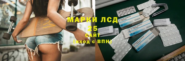 прущие грибы Бронницы